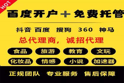 SEM托管服务案例：助力企业快速崛起